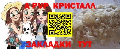 стафф Будённовск