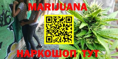 стафф Будённовск