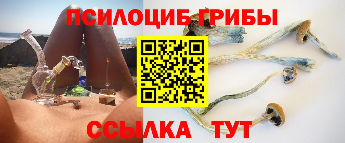 Псилоцибиновые грибы GOLDEN TEACHER Орехово-Зуево